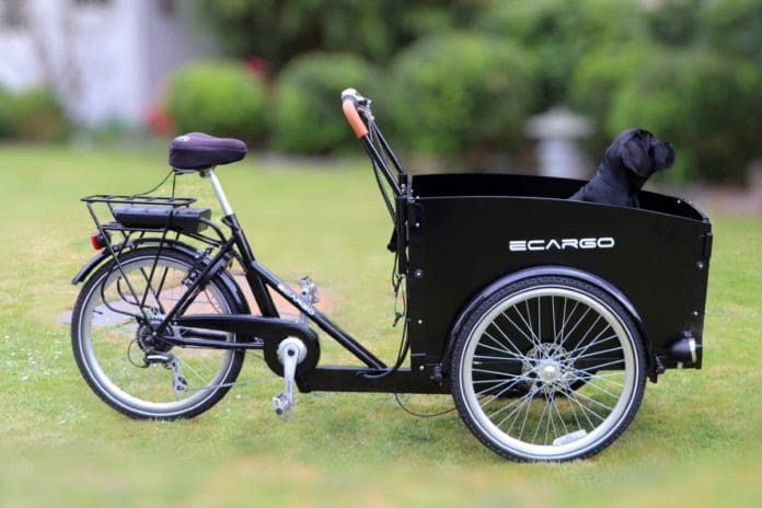 They might not be the sexiest bike category but there’s a lot to love about cargo bikes.