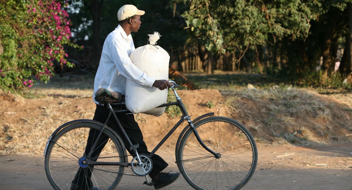 Even when a bicycle can’t be ridden, it’s still an invaluable tool for carrying heavy loads over rough dirt roads.