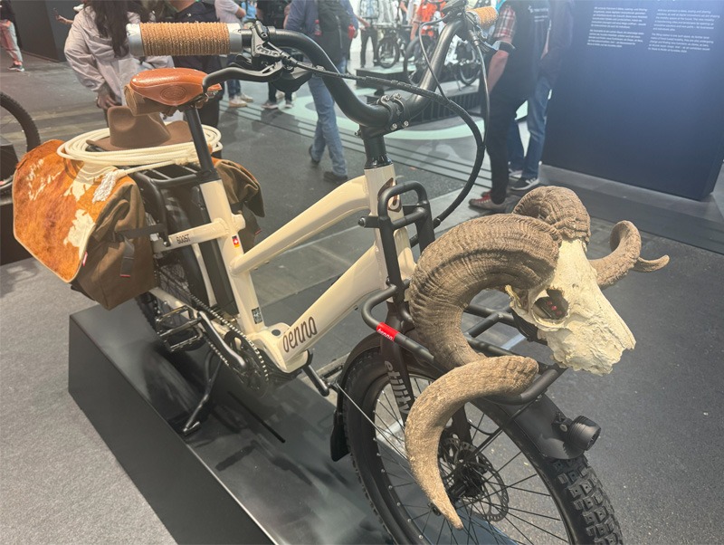 A bicycle with ram skull mounted on handle bars