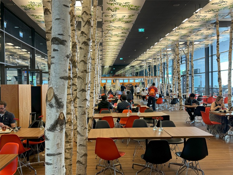 Cafe fitted out with tree trunks within the space.